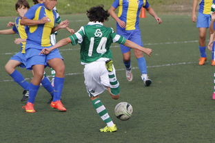 华体会真人体育娱乐-多特蒙德大逆转赢得关键比赛,多特蒙德对手