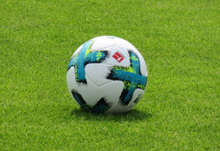 华体会网页登录入口-多特蒙德防线再失误,错失榜首机会,多特蒙德ds